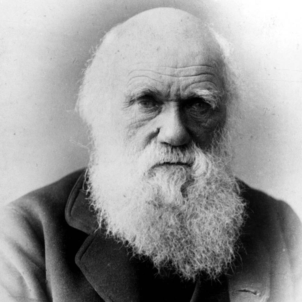 Charles-Darwin-1875-b